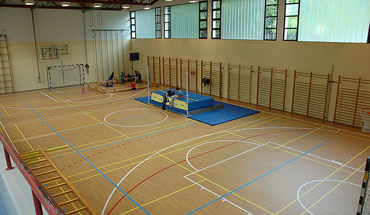 Ginnastica in palestra o yoga